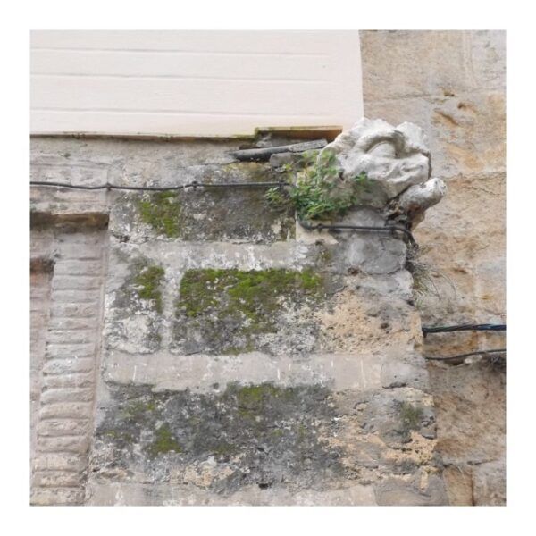 cabeza,leon,triana